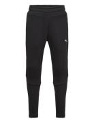 Evostripe Pants Dk B Black PUMA