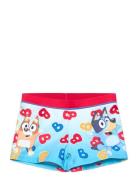 Swimsuit Patterned Bluey