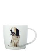 Mugg 400 Ml Patterned Maxwell & Williams