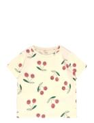 Tnstolivia S_S Tee Cream The New