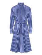 12/2 Yd Ctn Pw-Lsl-Dad Blue Polo Ralph Lauren