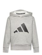 J Bl Ft Hd 280 Grey Adidas Sportswear