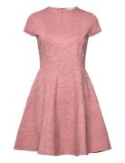 Clodaa Pink Ted Baker London