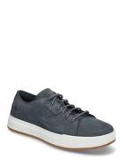 Low Lace Up Sneaker Blue Timberland