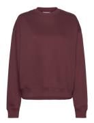 Standard Sweatshirt Burgundy Weekday