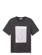 Wwbobby Marmaron Brown WOOD WOOD