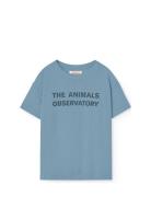 Orion Kid T-Shirt Blue Blue THE ANIMALS OBSERVATORY