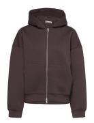 Scuba Hoodie Brown Weekday