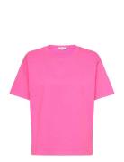 Fizvalley Pink American Vintage