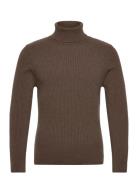 Tony Turtle Brown HOLZWEILER