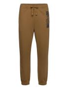 Niltro Brown HUGO BLUE