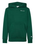 Hooded Sweatshirt Green Champion
