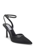 Alliance-M Black Steve Madden