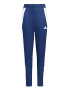 Tiro24 Trpty Blue Adidas Performance