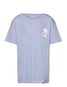 Lilyregular Night Blue Roxy