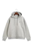 Shield Hoodie Grey GANT