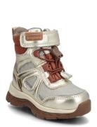 Bisgaard Bruce Tex Gold Bisgaard