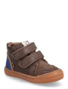 Bisgaard Cuba Tex Brown Bisgaard