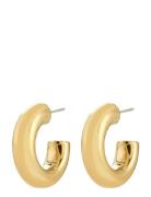 Phase Small Hoops Gold-Plated Gold Pilgrim