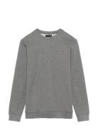 Maharry Crew Grey Matinique