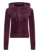 Robertson Hoodie Burgundy Juicy Couture
