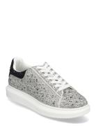 Icebox Grey Steve Madden