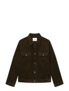 Wwtype 10 Jacket 25258 Brown WOOD WOOD