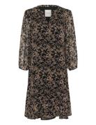 Elkaspw Dr Brown Part Two