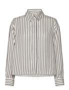 Frviolet Sh 1 Brown Fransa