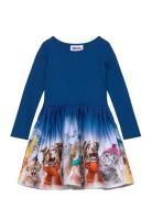 Casie Warm Blue Molo