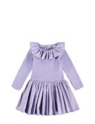 Crystala Purple Molo