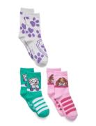 Socks Patterned Paw Patrol