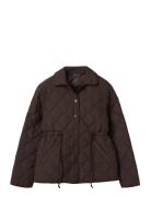 Classic Quilted Jacket Brown Lexington Clothing