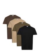 4Pk Basic Tee S/S Black Lindbergh