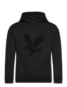Towelling Eagle Pullover Hoodie Black Lyle & Scott