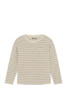 T-Shirt Ls Small Stripe Beige Daily 7