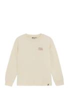 T-Shirt Longsleeve Artwork Cream Daily 7