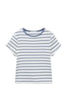 Striped T-Shirt With Contrasting Collar White Mango