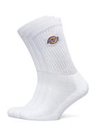 Valley Grove Socks White Dickies