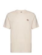 Mapleton Ss Tee Cream Dickies