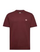 Mapleton Ss Tee Red Dickies