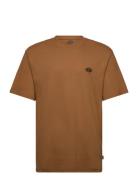 Summerdale Ss Tee Brown Dickies