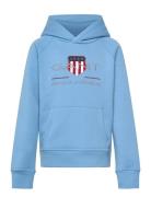 Archive Shield Hoodie Blue GANT