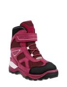 Snow Mountain Pink ECCO