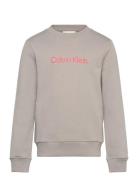 Inst. Logo Regular Cn Beige Calvin Klein