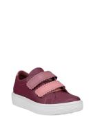 Soft 60 K Purple ECCO