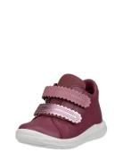 Sp.1 Lite Infant Burgundy ECCO