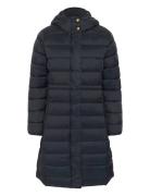 Laineypw Otw Navy Part Two