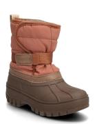 Bisgaard Pacson Brown Bisgaard