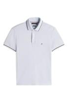 Tipped Slim Fit Seasonal Polo Blue Tommy Hilfiger